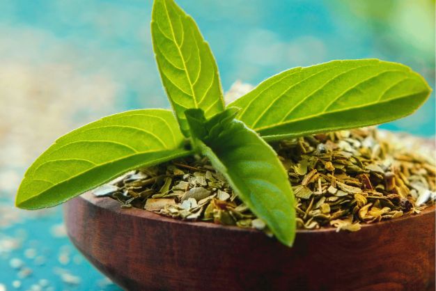 Why Choose Holly Herbs